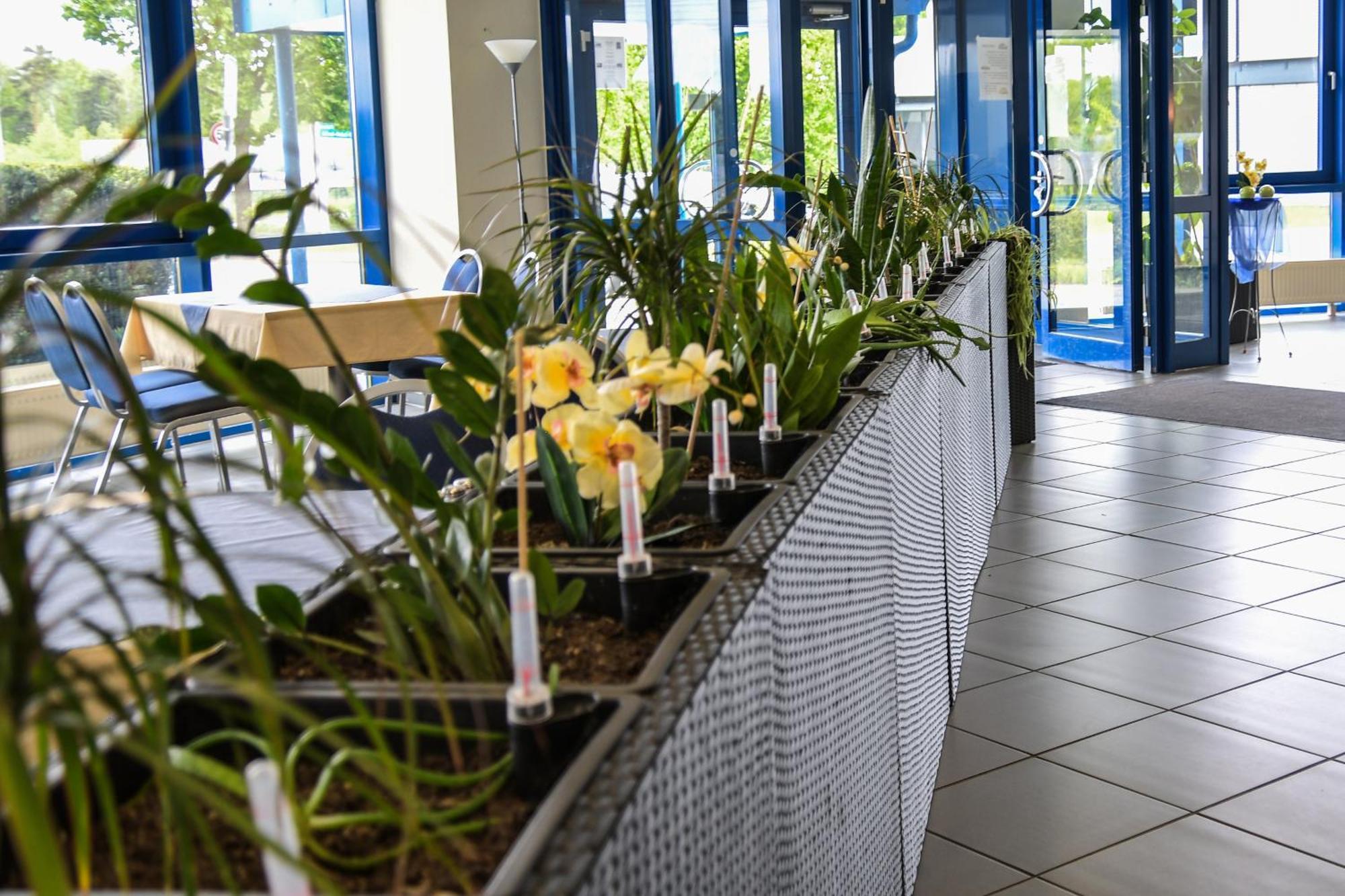 Central-Hotel Eberswalde Extérieur photo